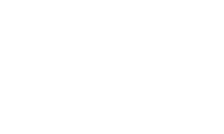 Blue Raven Solar logo